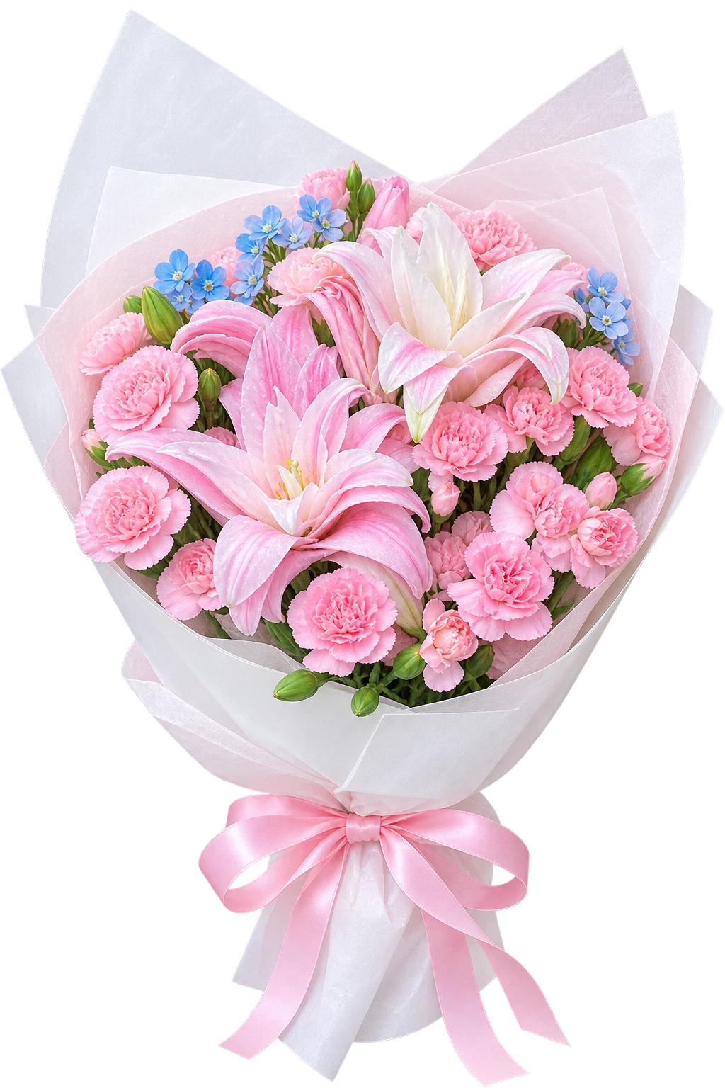 BĂ³ tulip mĂ¹a xuĂ¢n