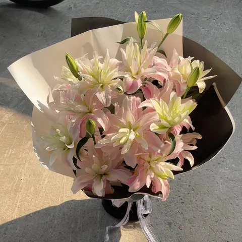 "💕Nhẹ nhàng như nắng sớm, thơm như một lời thương🍃"