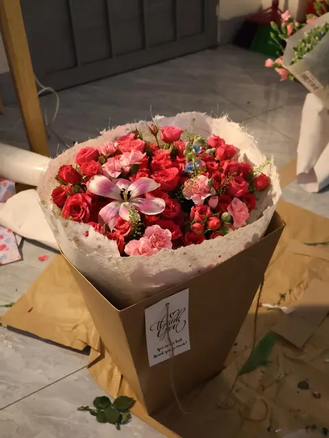 Bó sophia vội vàng nhất của em🥹