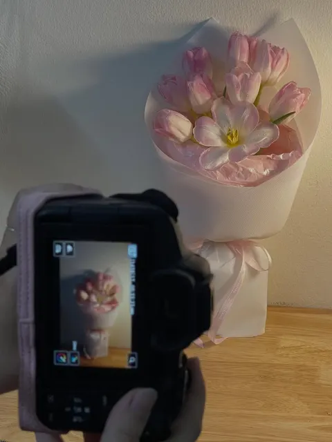 Tulip hồng xinh iu💗