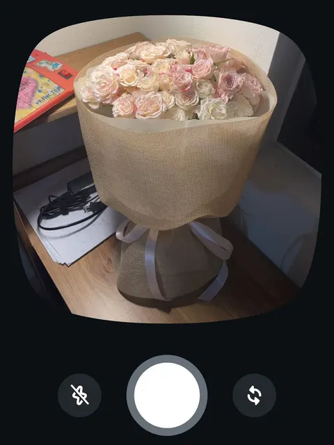 Chiết xạ hồng